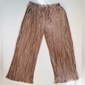 SHEIN curve EZwear metallic wide leg pants NWT size 1XL